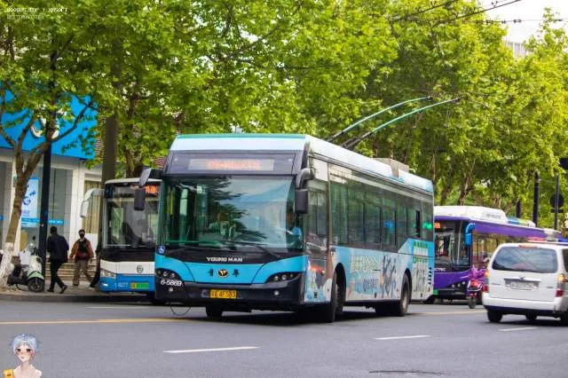 800BUS