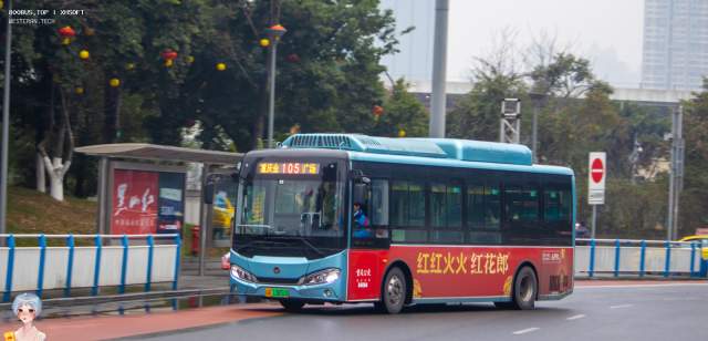 800BUS