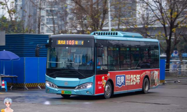 800BUS