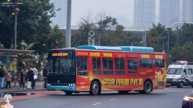 800BUS