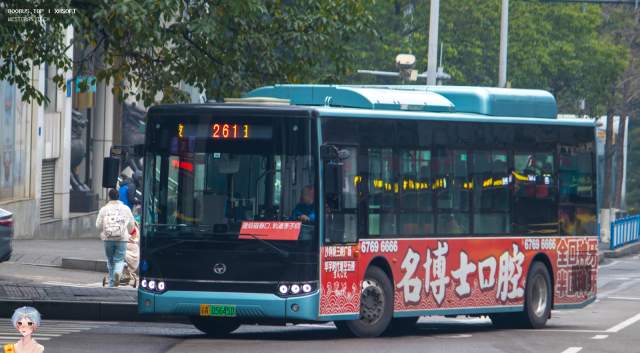 800BUS
