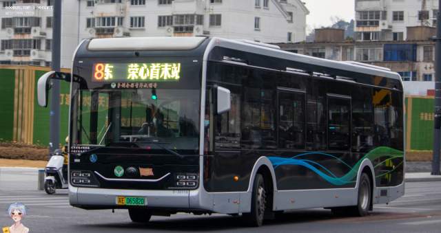 800BUS