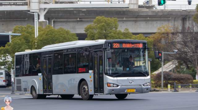 800BUS