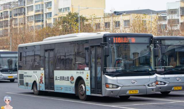 800BUS