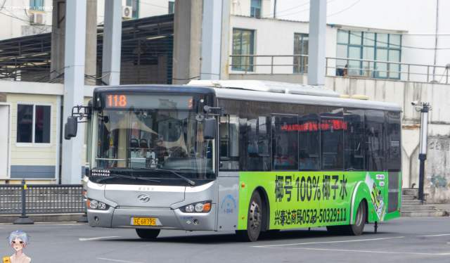 800BUS
