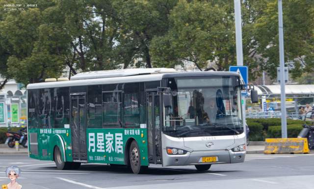 800BUS