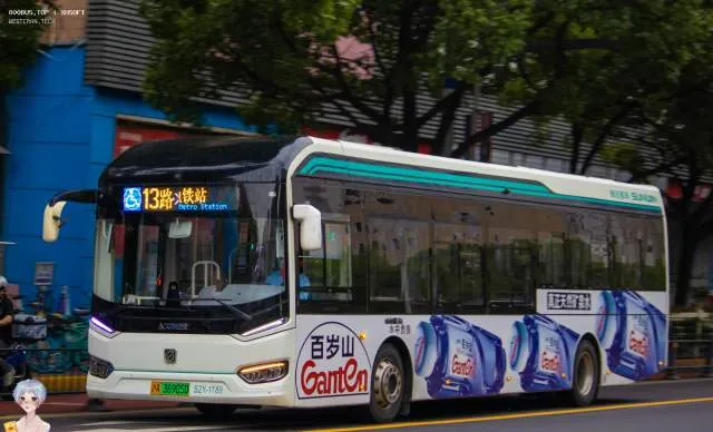 800BUS