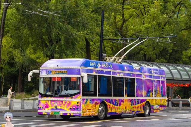 800BUS