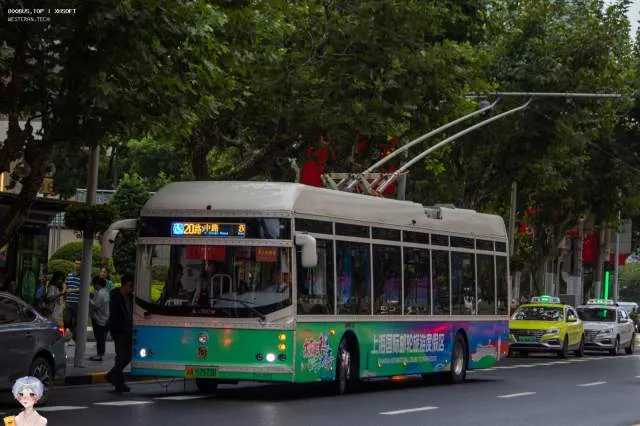 800BUS