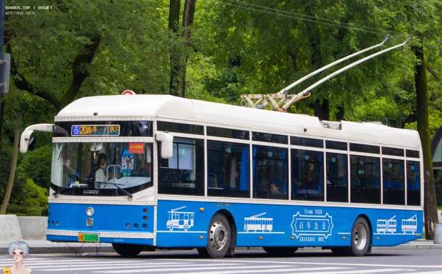 800BUS