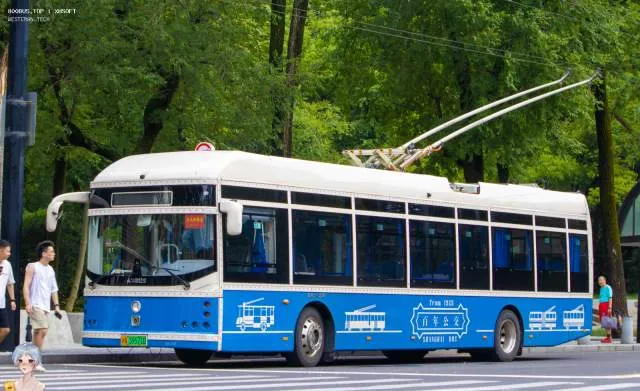 800BUS