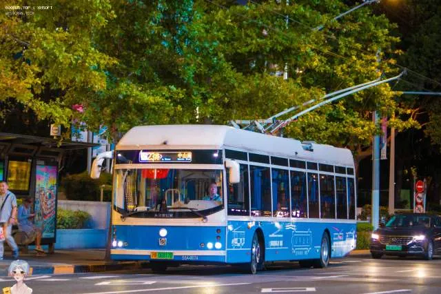 800BUS