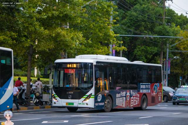 800BUS