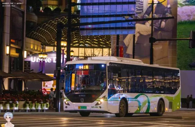 800BUS