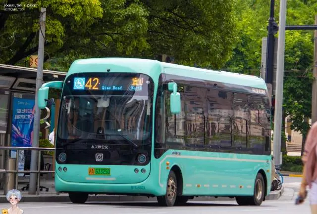 800BUS