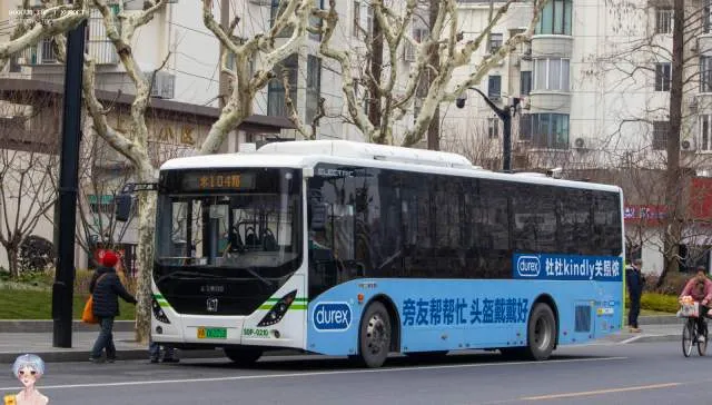 800BUS