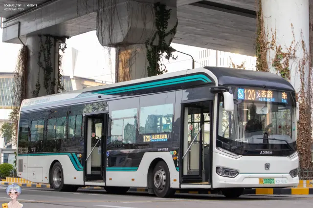 800BUS