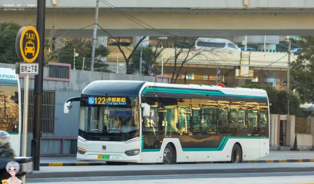 800BUS