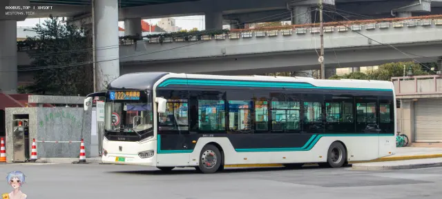 800BUS