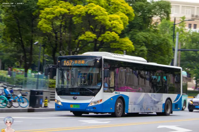 800BUS