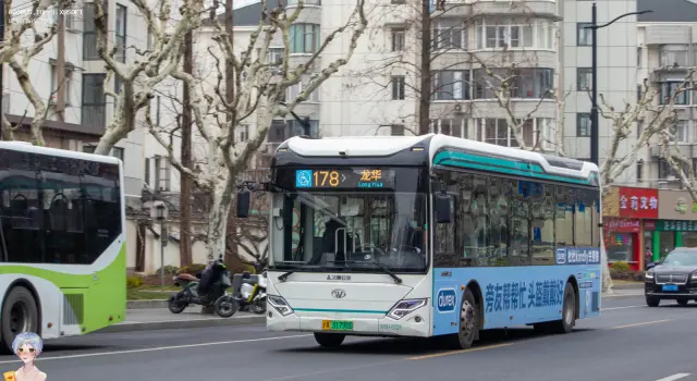 800BUS