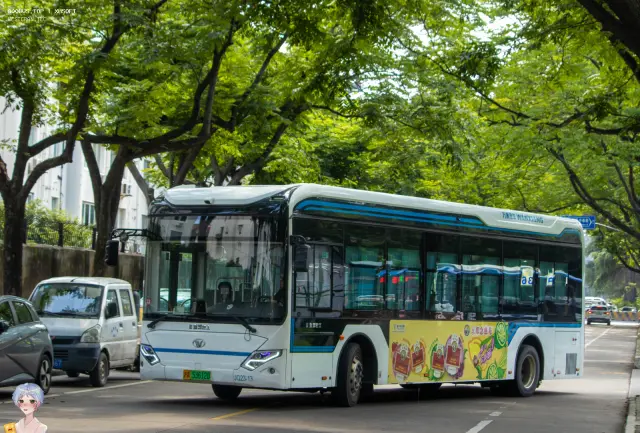 800BUS