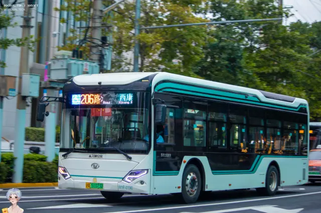 800BUS