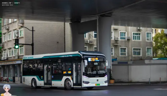 800BUS