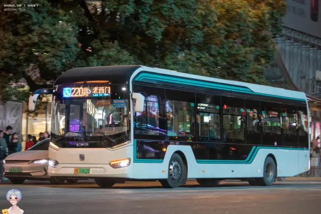 800BUS