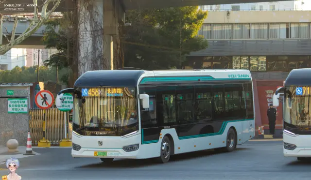 800BUS
