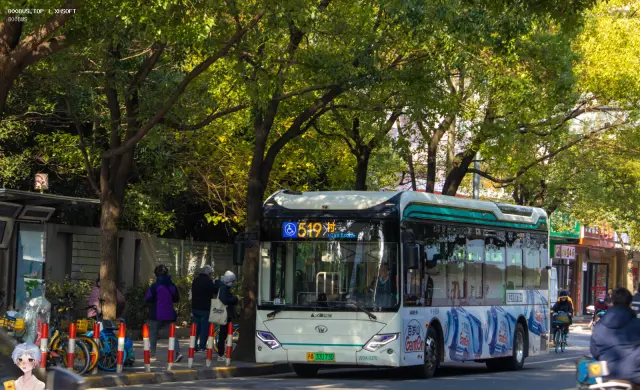 800BUS