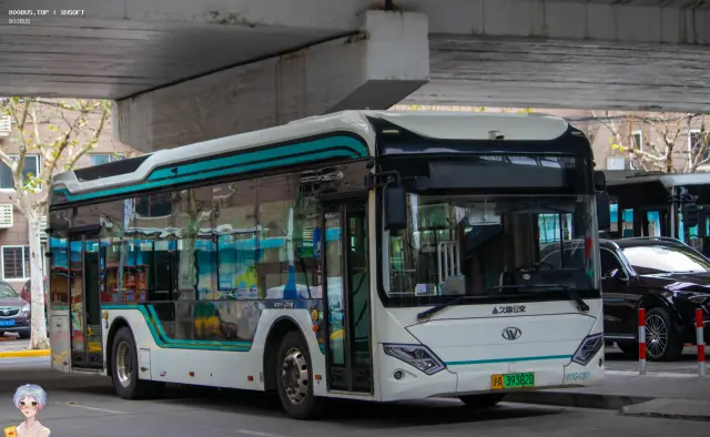 800BUS