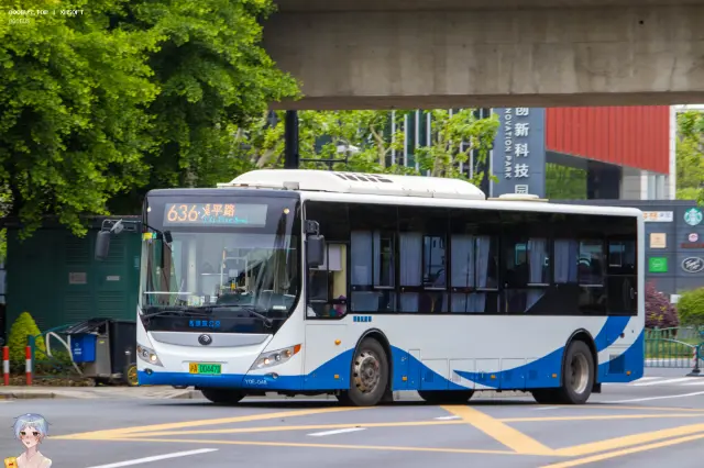 800BUS