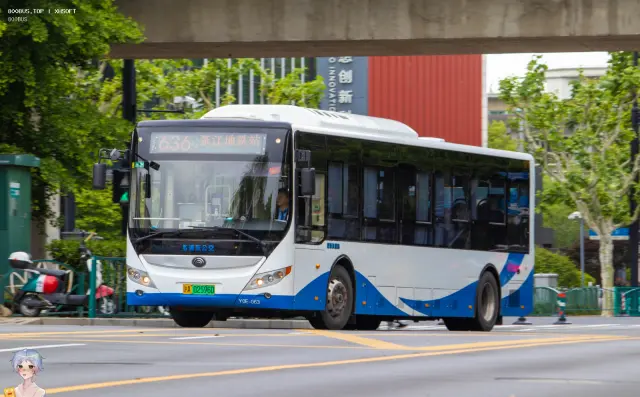 800BUS