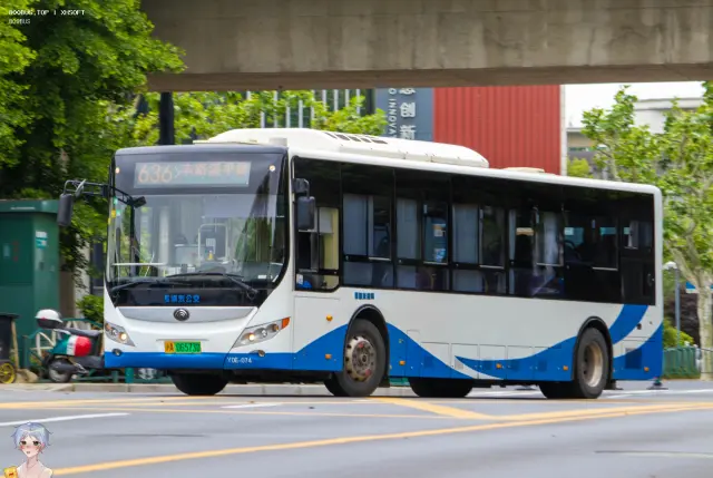 800BUS