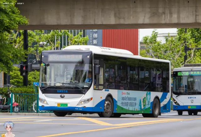 800BUS