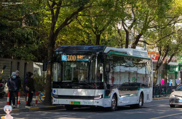 800BUS
