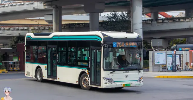 800BUS
