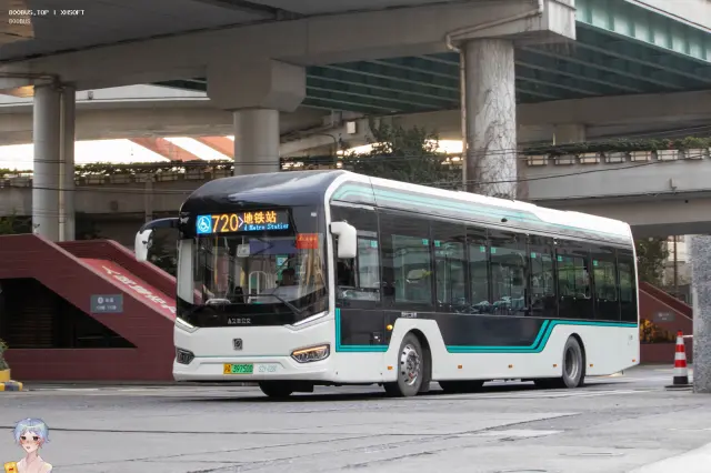 800BUS