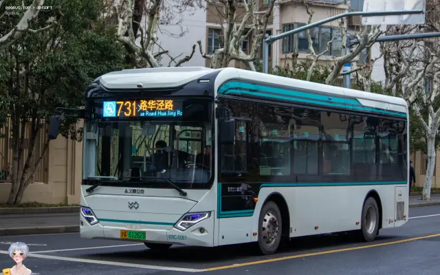 800BUS