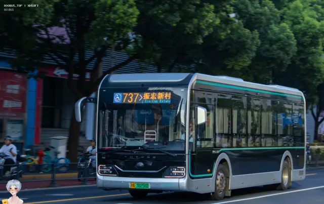 800BUS