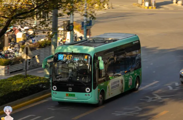 800BUS