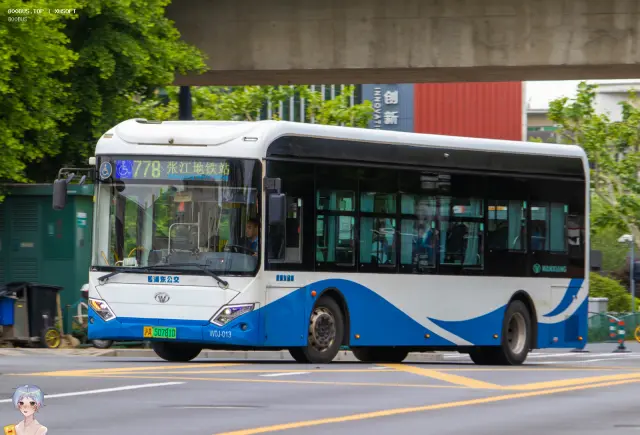 800BUS