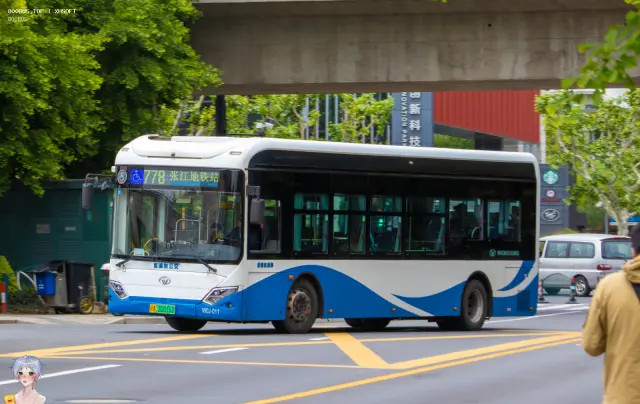 800BUS