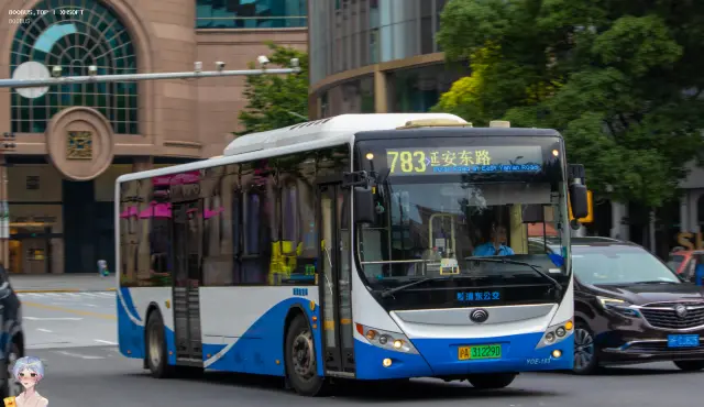 800BUS