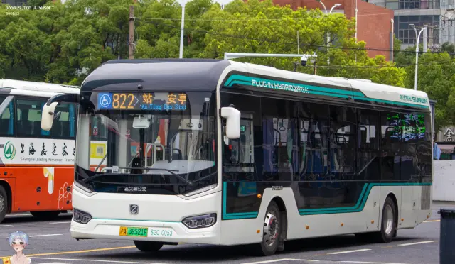 800BUS