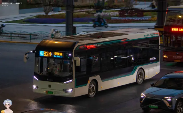 800BUS