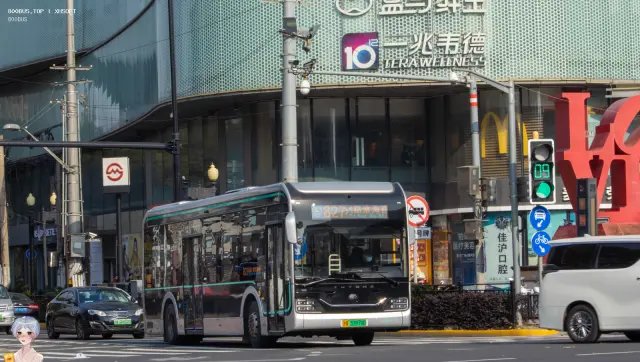 800BUS