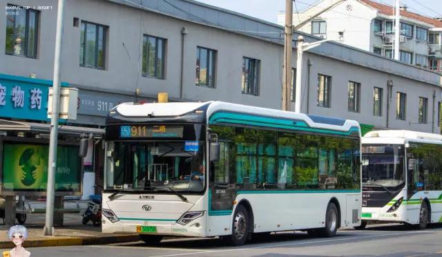 800BUS