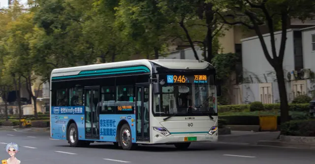 800BUS
